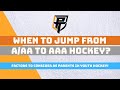 Difference Between Aa And Aaa Hockey
