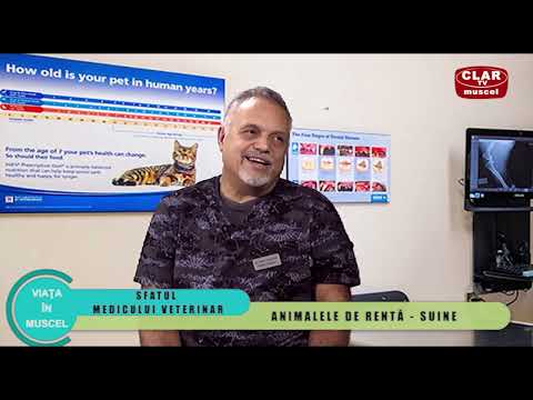 viata in muscel - 4 sfatul medicului veterinar  22.11.2021