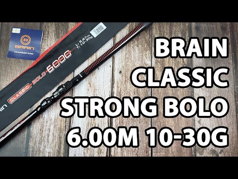 Вудлище болонське Brain Classic Strong Bolo 6.00m 10-30g (телескопічне, з кільцями) + чохол та захист на кільця