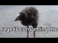 things that i reference frequently pt. 2