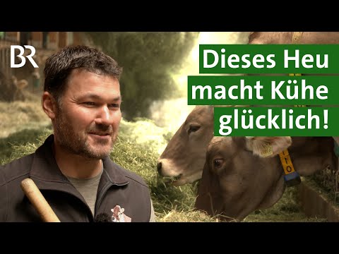 Hochwertiges Heu, gesunde Kühe, mehr Milch: Die moderne Heutrocknung | Heumilch | Unser Land | BR