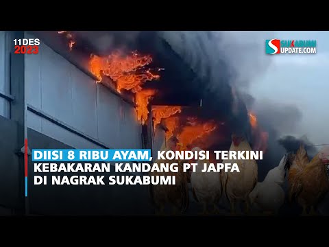 Diisi 8 Ribu Ayam, Kondisi Terkini Kebakaran Kandang PT Japfa di Nagrak Sukabumi
