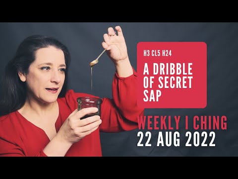 A Dribble of Secret Sap // Weekly I Ching 22-28 Aug 2022 // Hexagram 3 & 24