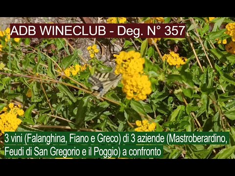 ADB WINECLUB -Deg. N° 357 - Falanghina, Greco e Fiano di Mastroberardino, Feudi di S. G. e Il Poggio
