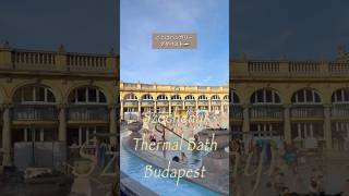セーチェニ温泉 #ブダペスト #ハンガリー
