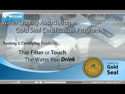 download lagu mp3 mp4 Wqa Gold Seal, download lagu Wqa Gold Seal gratis, unduh video klip Wqa Gold Seal