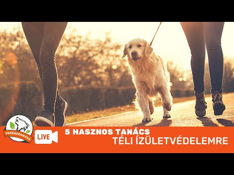 Térdízületi kezelés gonarthrosis mértéke