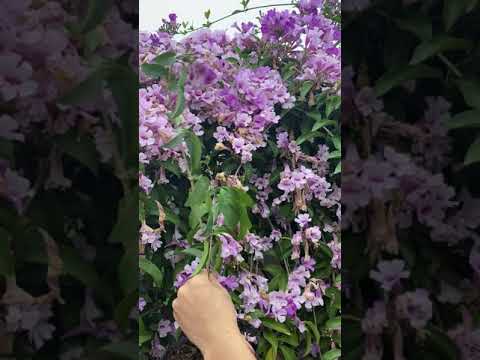 2021 11 16 16 40 IMG 0022