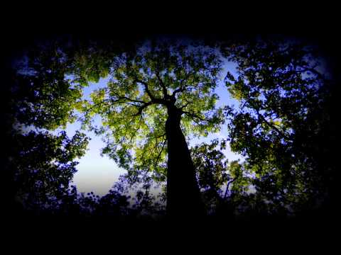 Sysyphe - Rounds Of Trees