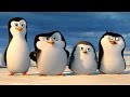 ПИНГВИНЫ МАДАГАСКАРА - "Пингвины Антарктики" - РОССИЯ 