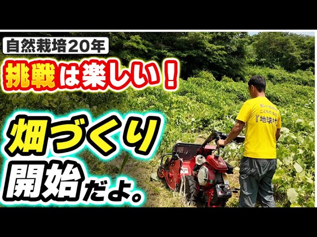 耕作放棄地から始める自然栽培の開墾術