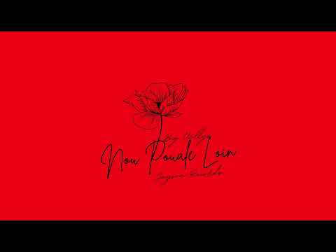 Bigg Willys- Nou  pouale Loin & Jayson Records