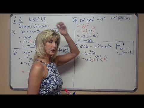 Allies Wiskunde 2020 Gr. 8 - 06