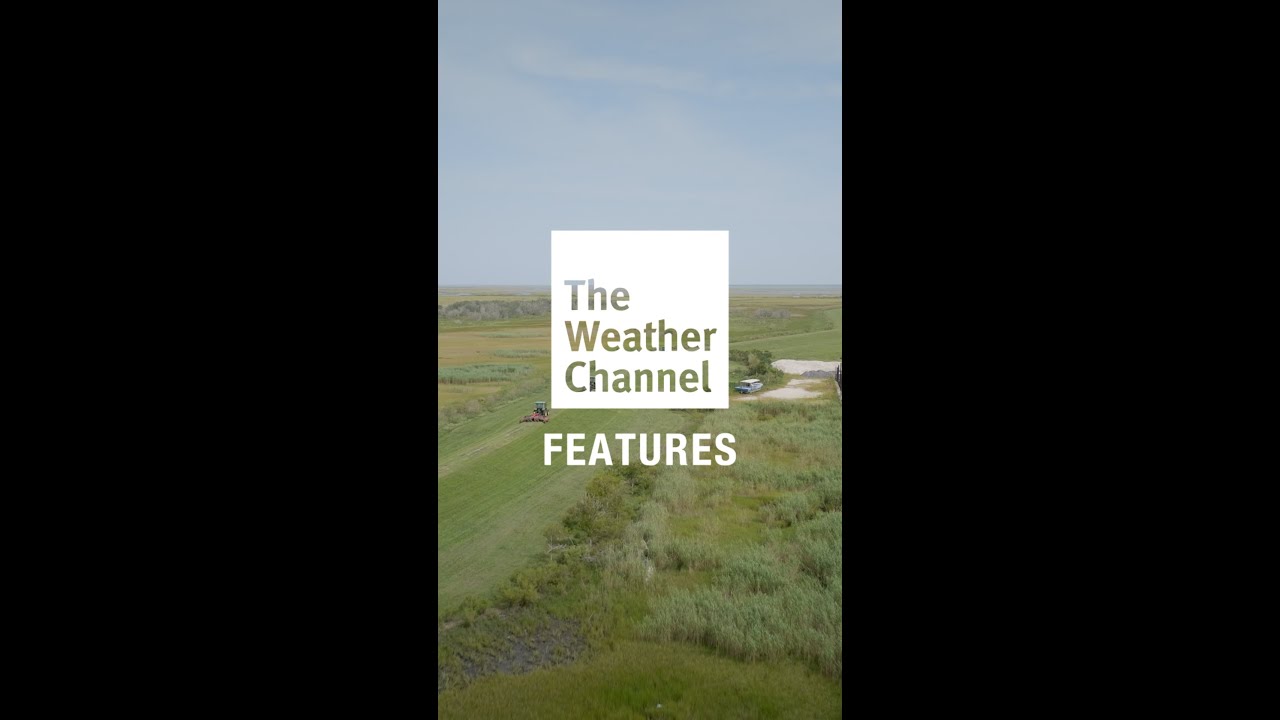 From Warnings To Wreckage: A Timeline Of Katrina’s Disaster