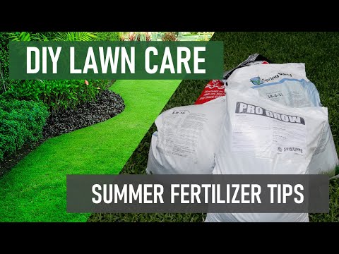 Summer Fertilizer Tips [DIY Lawn Care]