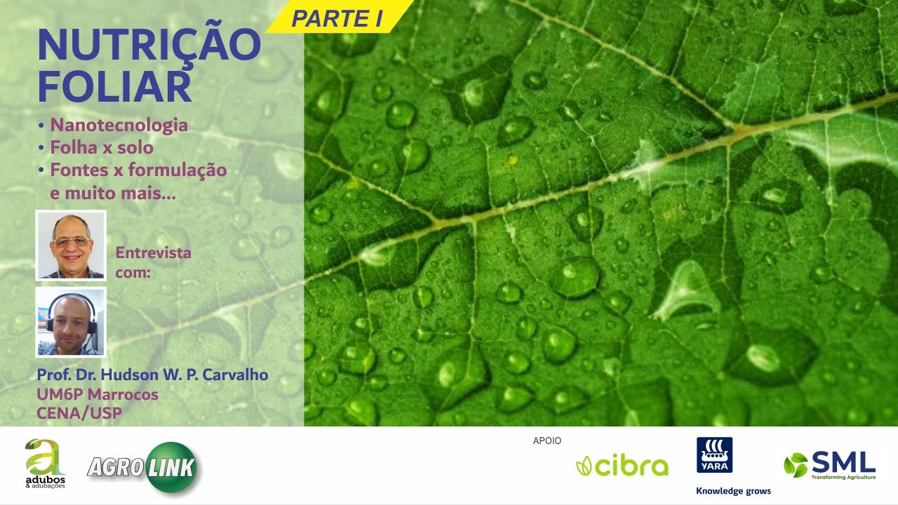 # 256 - PARTE 1 ADUBAÇÃO FOLIAR - ENTREVISTA COM PROF. HUDSON CARVALHO