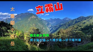 [問卦] 國外環保團體來台灣擋路會發生什麼事？