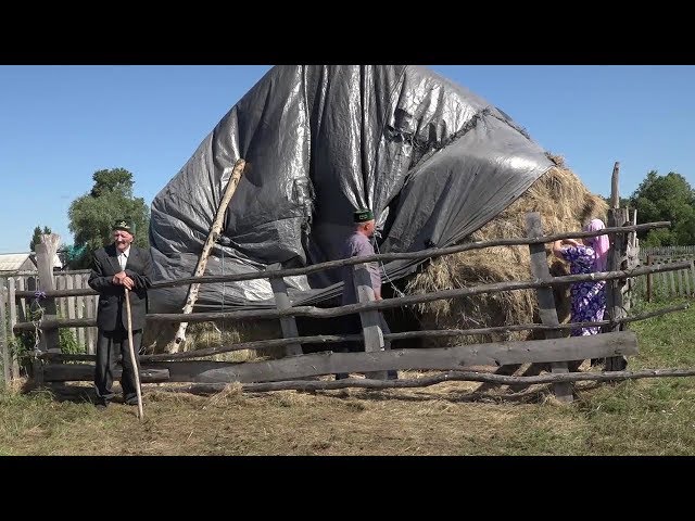Трудолюбие в генах