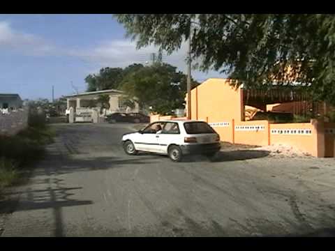 STARLET ON THE FEVER