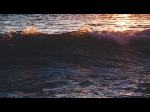 JULIAN AVILA - FOREIGN