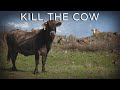 Push Your Cows Off The Cliff Motivational Monday 7