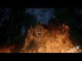 भेड़िया आदमी का शिकारी The Wolf Hunter In Hindi Dubbed HD