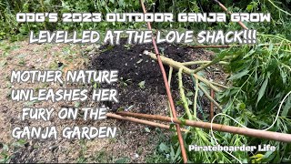 ODG’s 2023 OGG Levelled at the Love Shack!!! Mother Nature Unleashes her Fury on the Ganja Garden