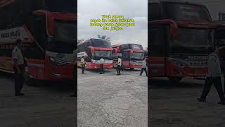 Download lagu Rosalia Indah Lampung | Bus Story Kata-kata #massoeparproject mp3