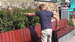 faze tari prinde un sarpe