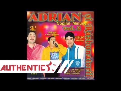 FLORIN SALAM SI LIVIU PUSTIU - HAIDE PUSTOAICO, ZOOM STUDIO