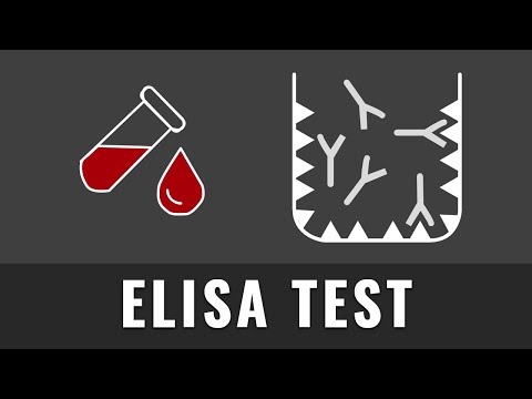 ELISA TEST | Immunbiologie | Wie funktioniert das? | Einfach erklärt | Abitur Wissen