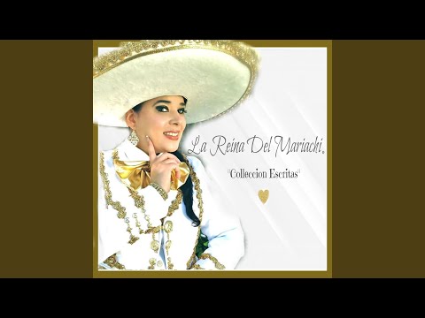 Me Volvi a Equivocar