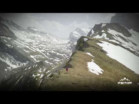 Trail Rider - Trail Running Motivation 2022