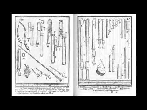 Bach: Brandenburg Concerto no. 2. Kuijken, La Petite Bande