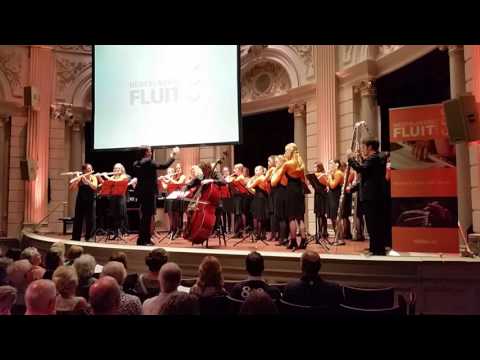 Neflac Zomerconcert 2016 - Elegy, G. Bottesini (arr. J. Bron)