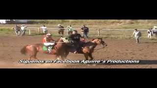 preview picture of video 'Carreras de caballos en kansas'