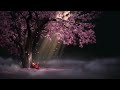 1 Hour Of Beautiful Chinese Music Selection
