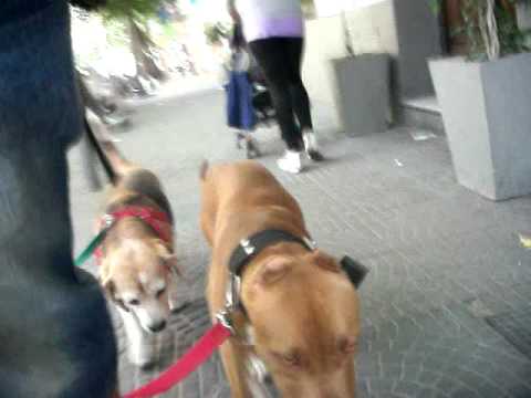 Stomaco mal di schiena di fronte a stomaco Artrosi dei rimedi popolari da polso