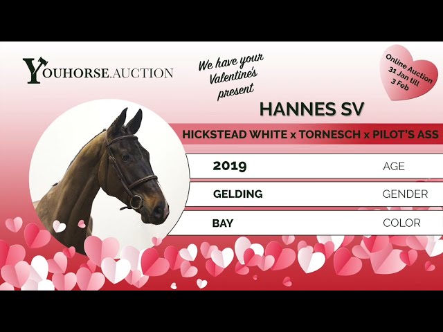 Hannes showvideo indoor