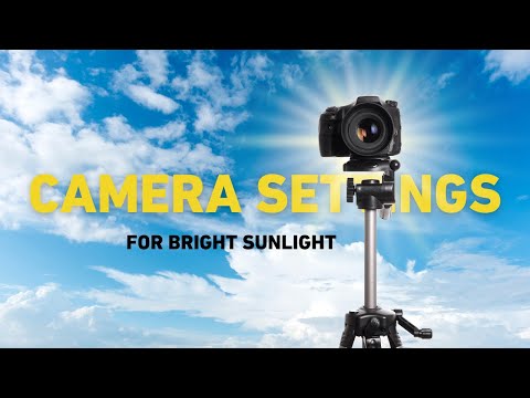 Camera Settings for Bright Sunlight