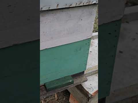 Ne dirati do proljeca