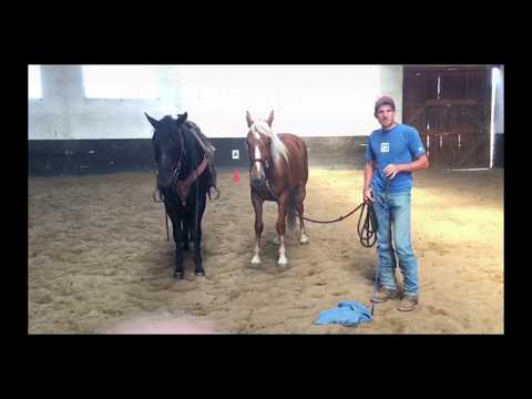 Tom Beetz - Mustang Makeover Germany 2018