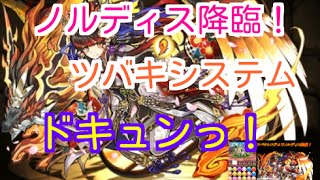 パズドラ 降臨チャレンジ ノーコン メジェドラ ツバキシステム تنزيل الموسيقى Mp3 مجانا