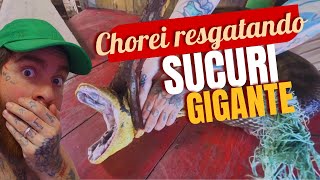 ME EMOCIONEI AO SALVAR UMA SUCURI GIGANTE NA AMAZÔNIA!