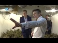 Burgemeester Zaanstad opent wietplantage