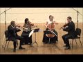 Haydn String Quartet Op. 76 No. 1; Mvt 1