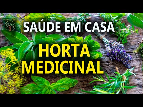 , title : 'Plantas Medicinais para Plantar em Casa, Saúde e Alegria com Sandra Regina'
