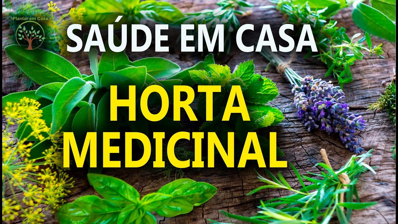 Plantas Medicinais para Plantar em Casa, Saúde e Alegria com Sandra Regina