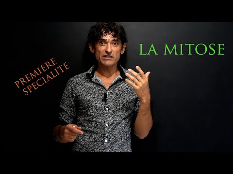 la MITOSE