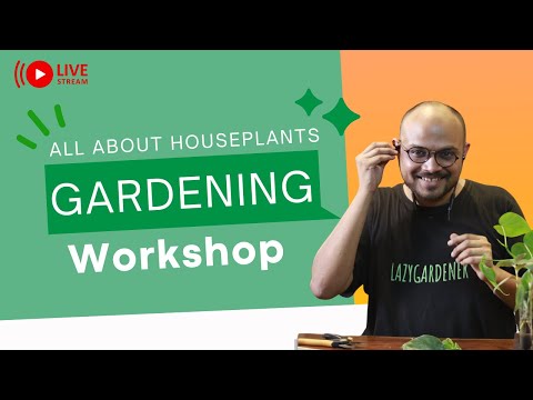 Free Gardening Workshop - All bout Houseplant Care